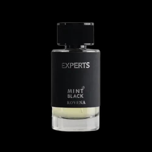 عطر و ادکلن روونا مونت بلنک اکسپلورر (مینت بلک اکسپرتس) ادو پرفیوم 100 میلی لیتر شرکتی | Rovena Mint Black Experts 100ml EDP — تصویر ۲