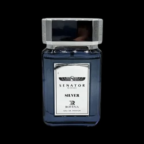 عطر و ادکلن بنتلی اینفینیتی اینتنس (سناتور سیلور) روونا ادو پرفیوم 100 میلی لیتر شرکتی | Rovena Senator silver Bentley 100ml EDP — تصویر ۲