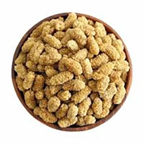 توت خشک مرغوب و شیرین تقویت استخوان و افزایش انرژی دارالشفاء