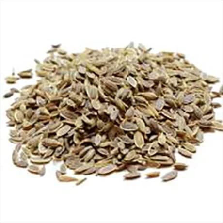 تخم شوید مرغوب و معطر ضد نفخ و افزایش شیر مادر دارالشفاء