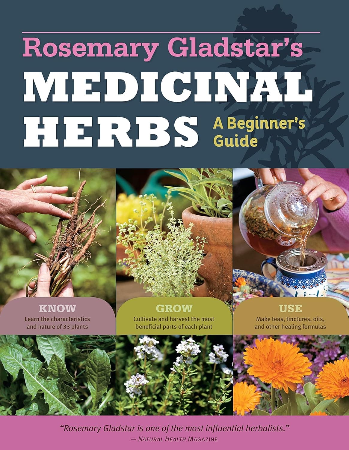 کتاب Rosemary Gladstar s Medicinal Herbs گیاهان دارویی رزماری گلدستار (نسخه انگلیسی)
