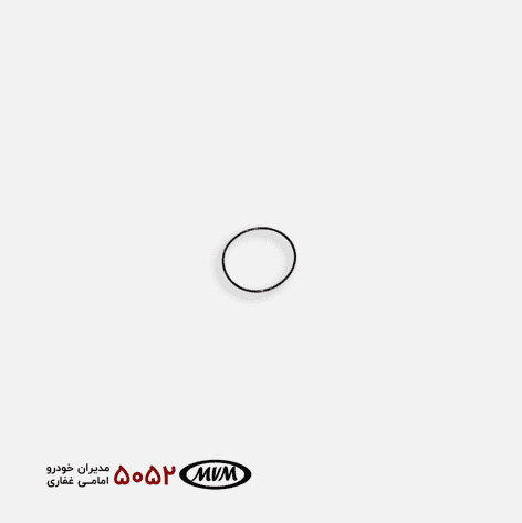 واشر بیرونی فیلتر گیربکس _ تیگو 7 پرو – تیگو 8