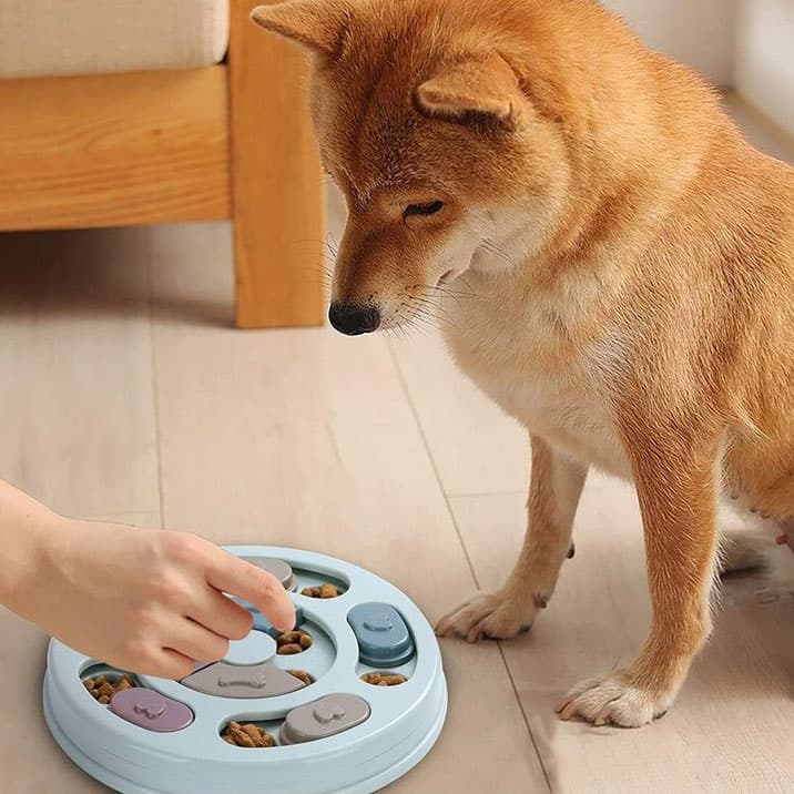 اسباب بازی پازل سگ و گربه Dog & Cat Educational Toy Puzzle — تصویر ۲