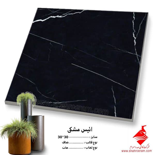 سرامیک آنیس مشکی 30*30 صدرار سرام