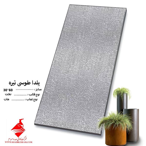 کاشی یلدا طوسی دکور 60*30 صدرا سرام — تصویر ۲
