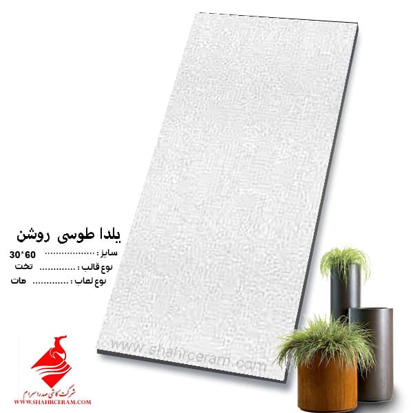 کاشی یلدا طوسی دکور 60*30 صدرا سرام — تصویر ۳