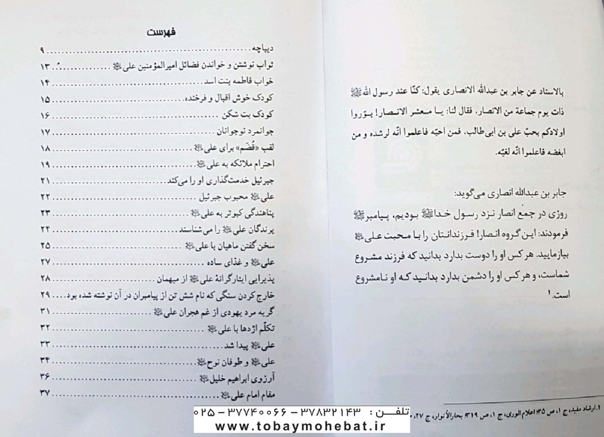 فضایل حیدری — تصویر ۲