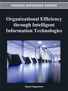 دانلود کتاب Organizational Efficiency Through Intelligent Information Technologies