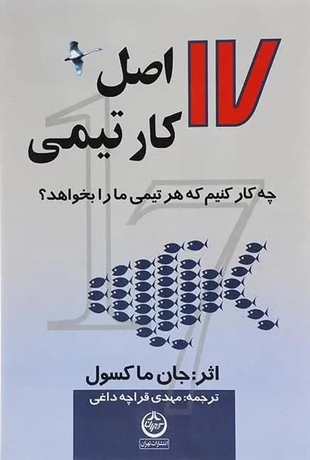 دانلود PDF کتاب 17 اصل کار تیمی جان مکسول | ترجمه مهدی قراچه‌داغی