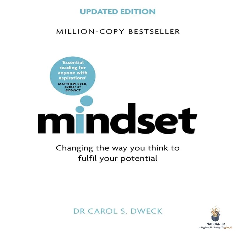 کتاب Mindset (طرز فکر) نسخه انگلیسی PDF | کارول اس. دوک — تصویر ۴