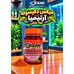 غذای ماهی گرانول میکس دکپسوله آرتمیا بچه ماهی(ارسال رایگان) — تصویر ۲