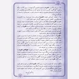 سرویس جواهری نقره زنانه لوکس مدل امرالدکات PRM 30 — تصویر ۳