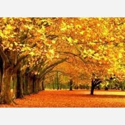 تابلو فرش سایز 107 در 82 — تصویر ۲
