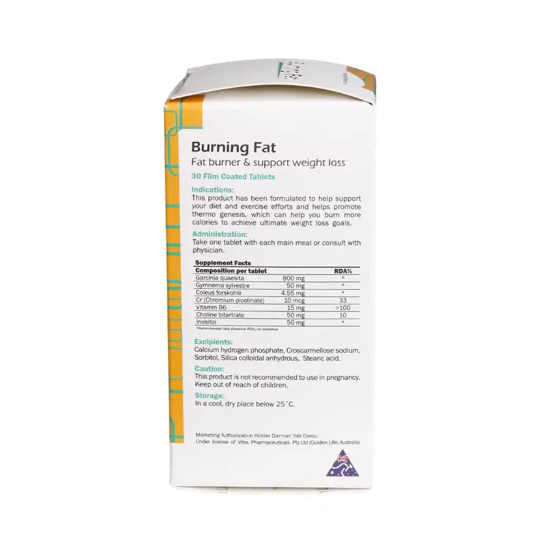 قرص روکش دار برنینگ فت گلدن لایف 30 عددی/Golden Life Burning Fat 30 Tabs — تصویر ۲