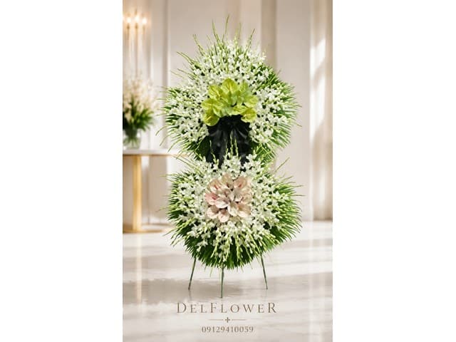 تاج گل داوودی 34FF63