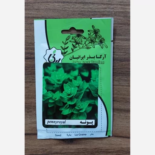 بذر پونه بذر سبزی معطر پربازده