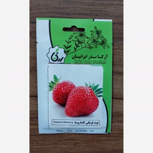 بذر توت فرنگی کاماروسا میوه درشت