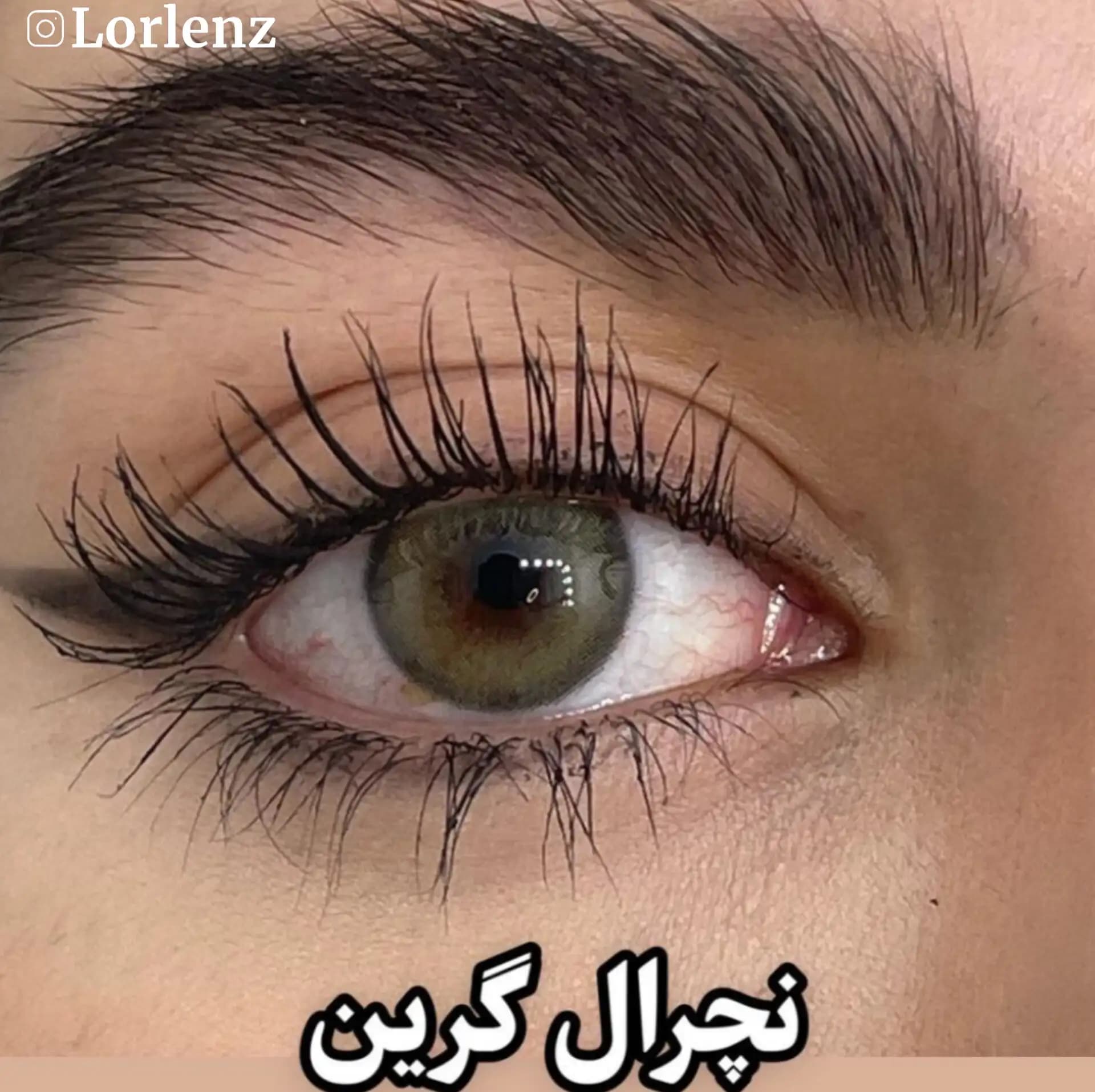 لنز نچرال گرین برند دهب(سبز ملایم و خاص) — تصویر ۲