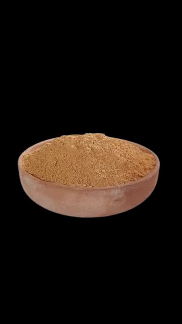 سوسیس