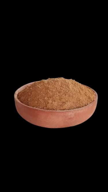 ماهی و میگو
