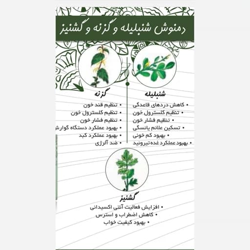 دمنوش شنبلیله، گزنه ، گشنیز