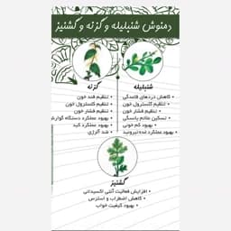 دمنوش شنبلیله، گزنه ، گشنیز — تصویر ۲