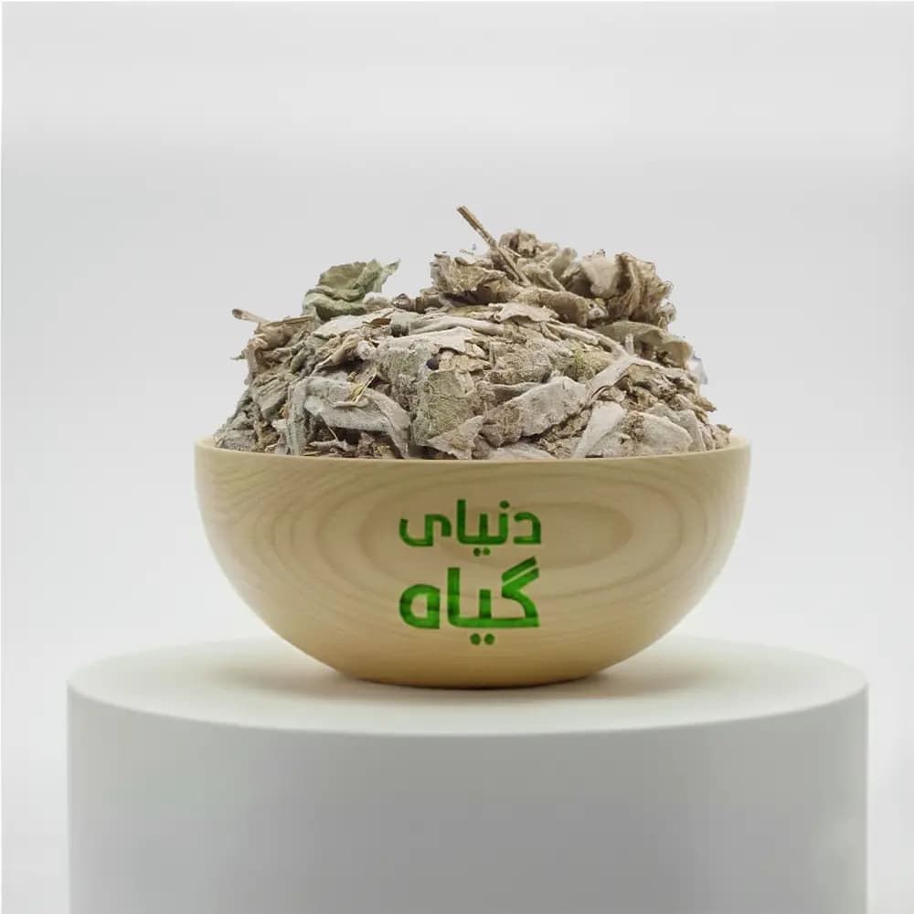 نوروزک
