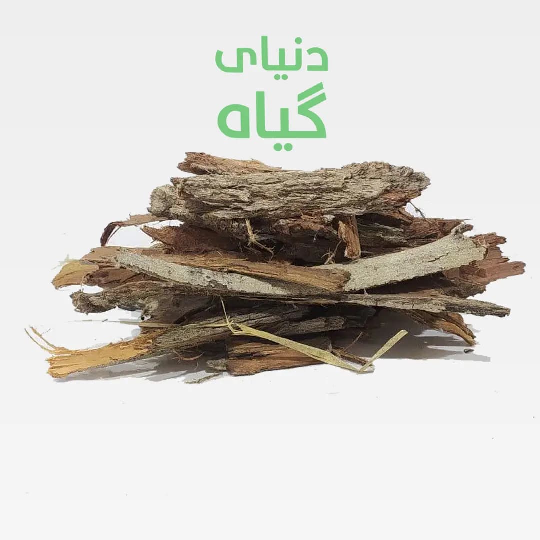 پوست بید