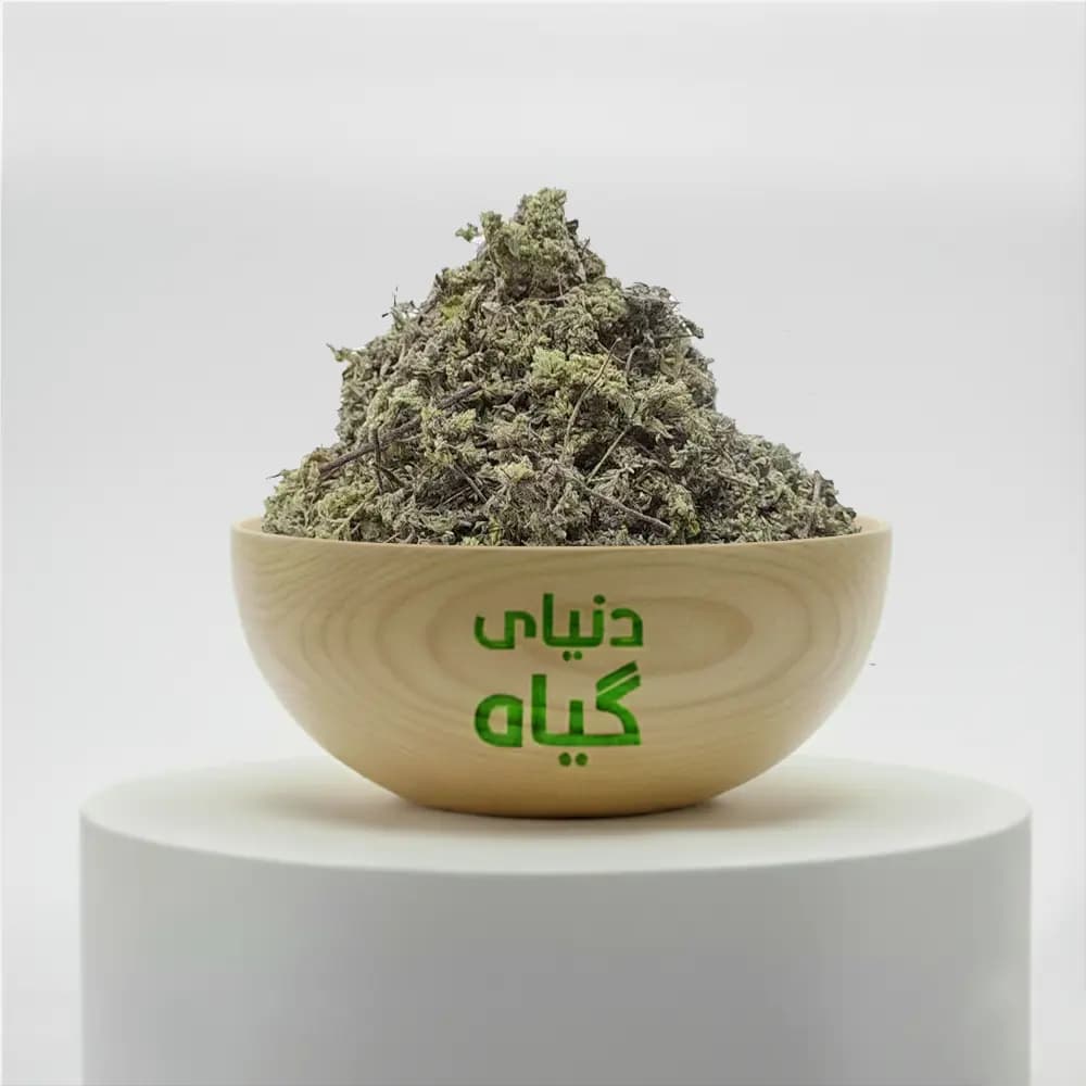 مرزنجوش شمالی