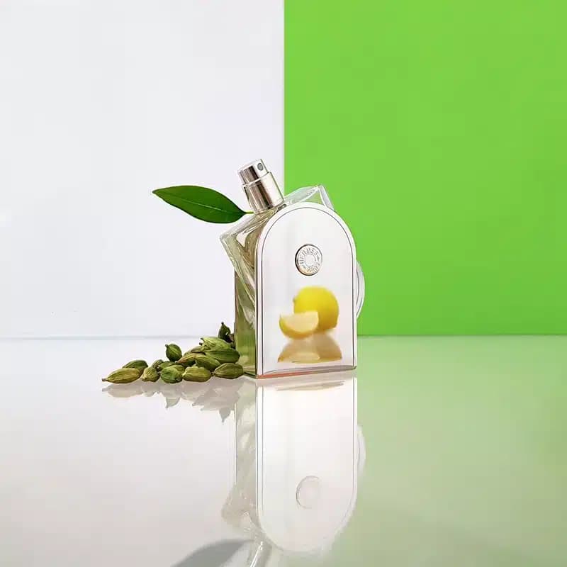 عطر ادکلن هرمس وویاژ ادوتویلت اصل — تصویر ۶