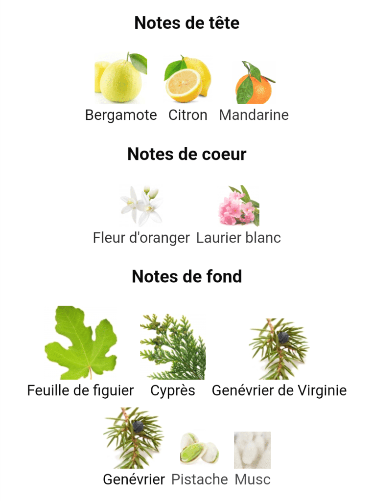 عطر ادکلن هرمس آن جاردین این مدیترانه اصل — تصویر ۸