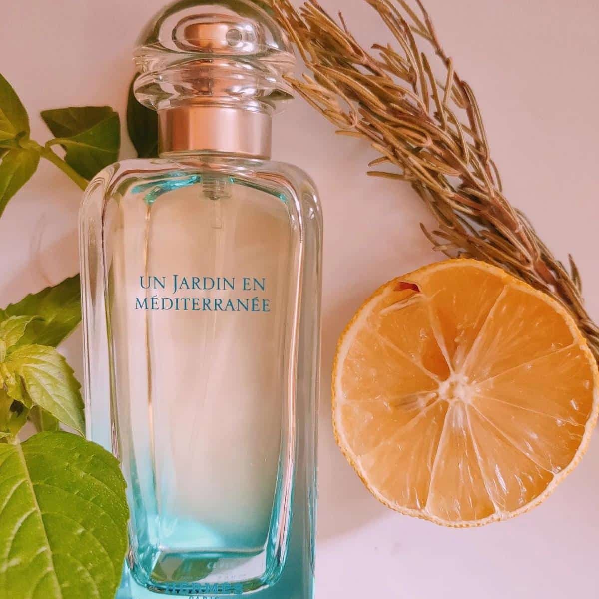 عطر ادکلن هرمس آن جاردین این مدیترانه اصل — تصویر ۲