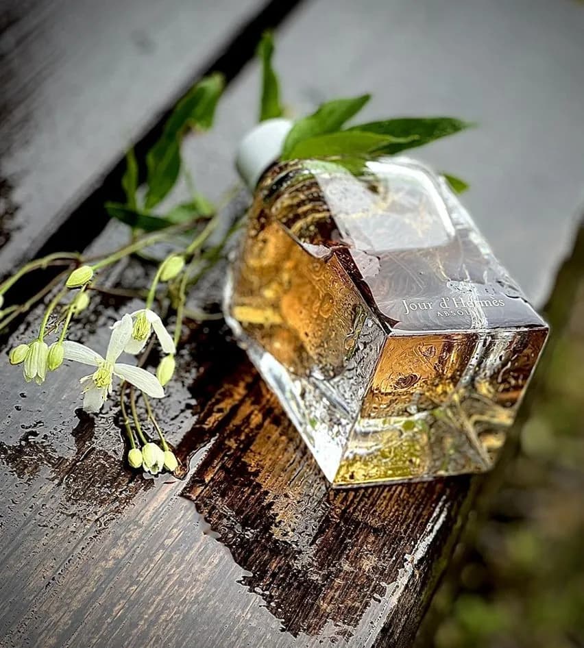 عطر ادکلن هرمس ژور دهرمس ابسولو زنانه اصل — تصویر ۵