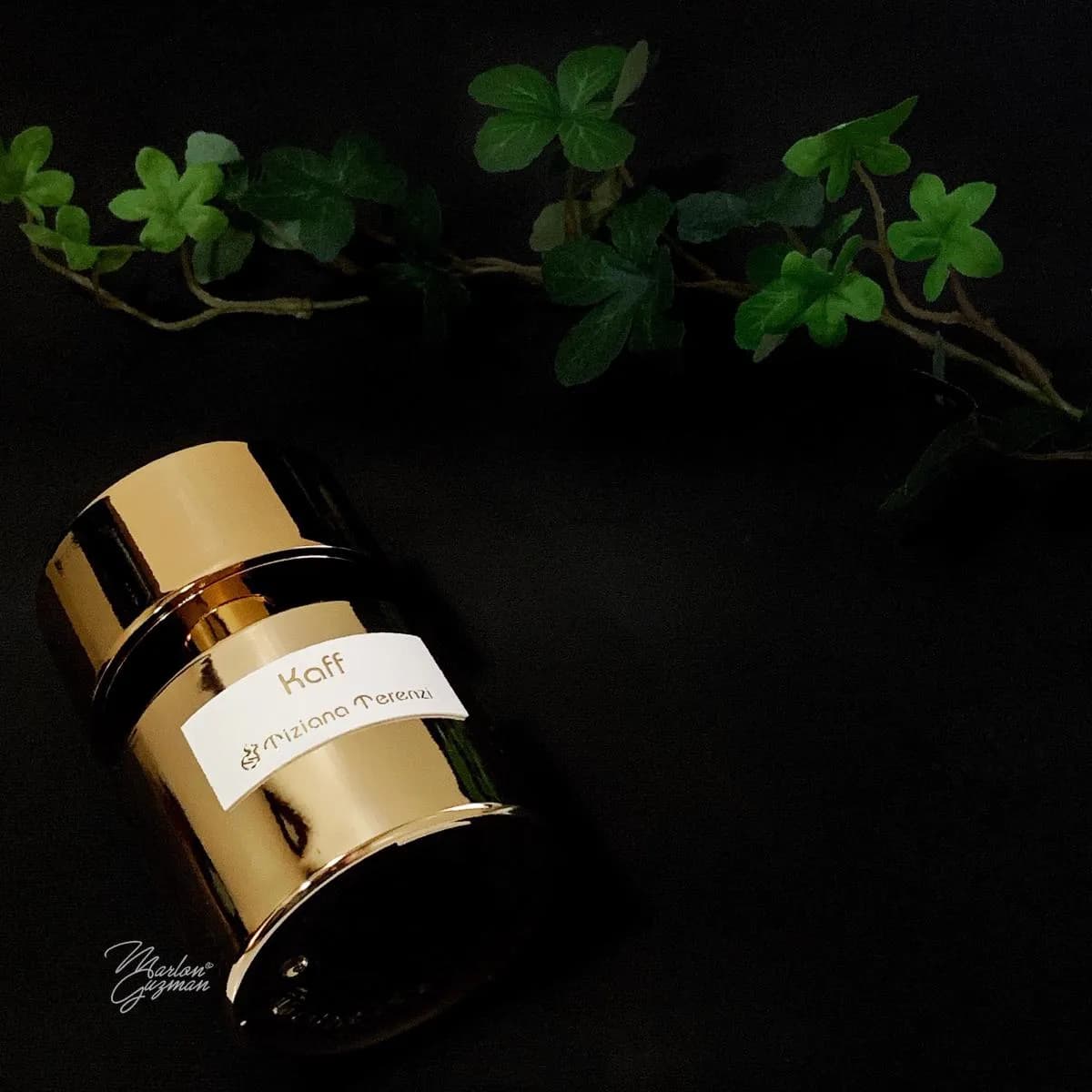عطر ادکلن تیزیانا ترنزی کاف اصل — تصویر ۳