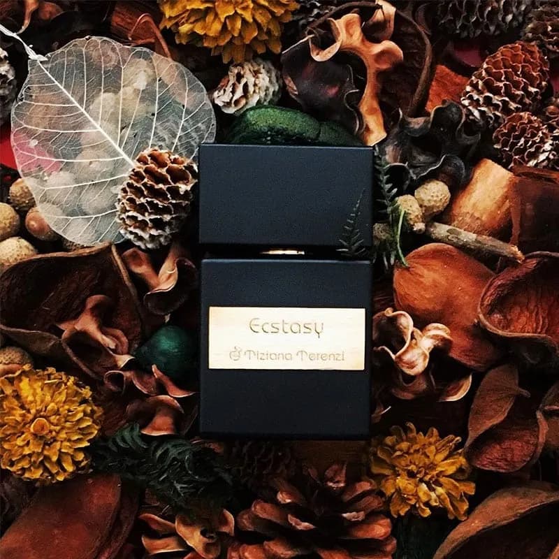 عطر ادکلن تیزیانا ترنزی اکستاسی اصل — تصویر ۳