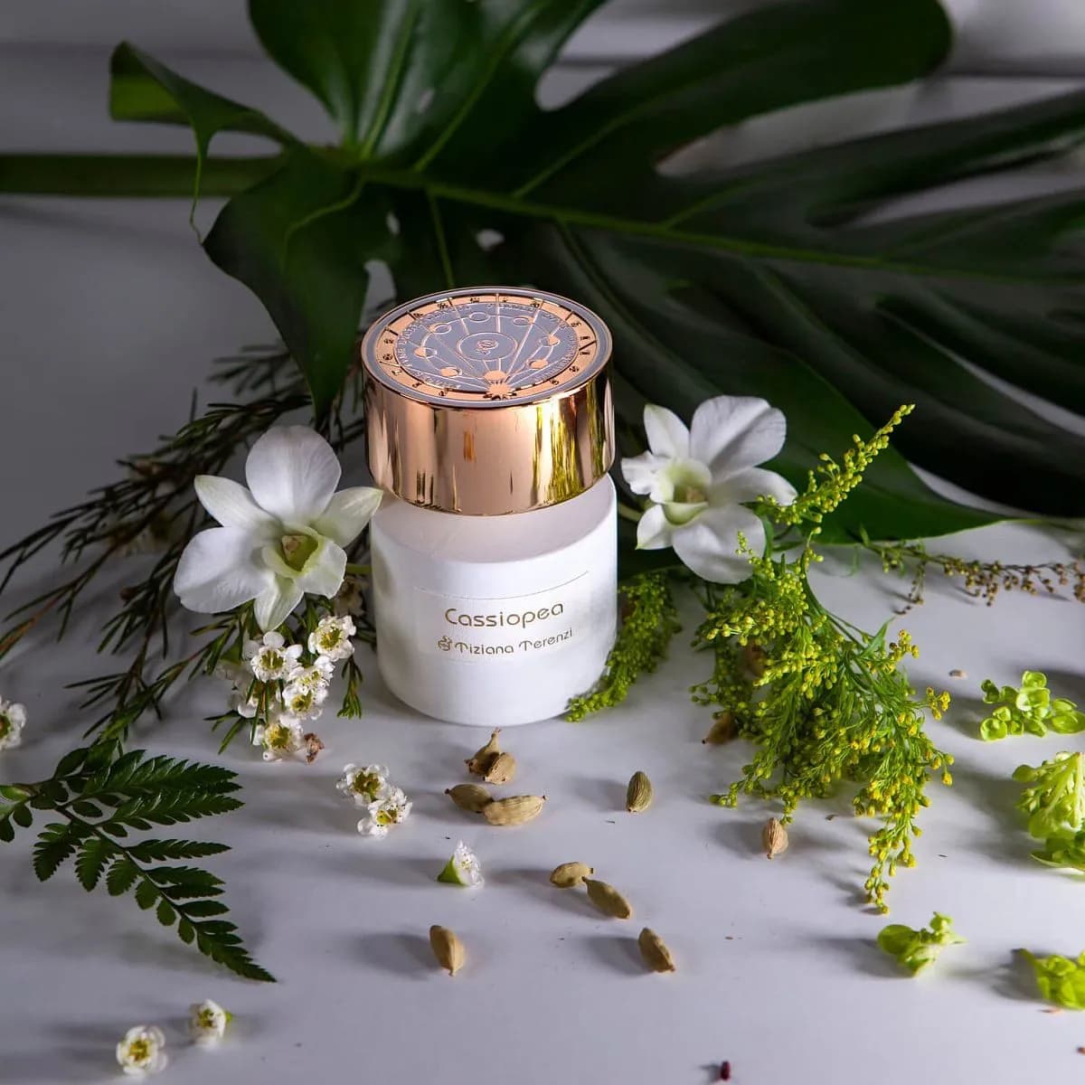 عطر ادکلن تیزیانا ترنزی کسیوپا اصل — تصویر ۶