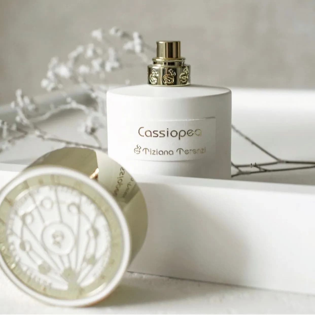 عطر ادکلن تیزیانا ترنزی کسیوپا اصل — تصویر ۴