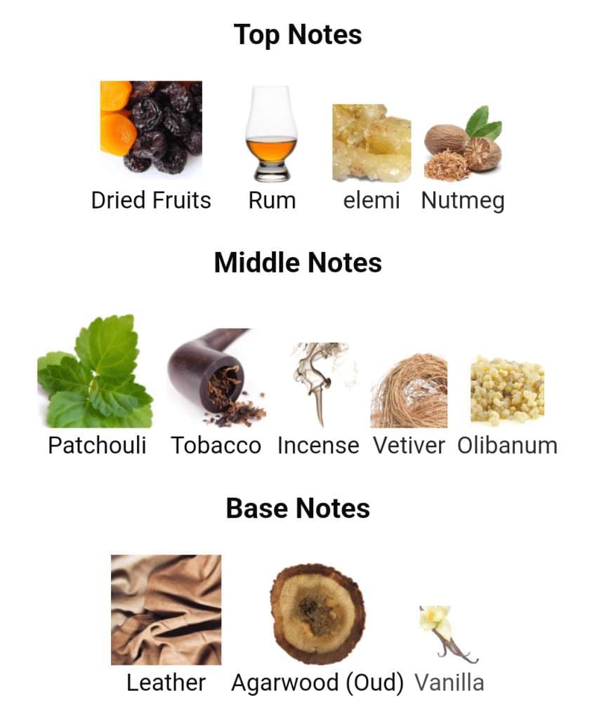 عطر ادکلن تیزیانا ترنزی اورسا اصل — تصویر ۸