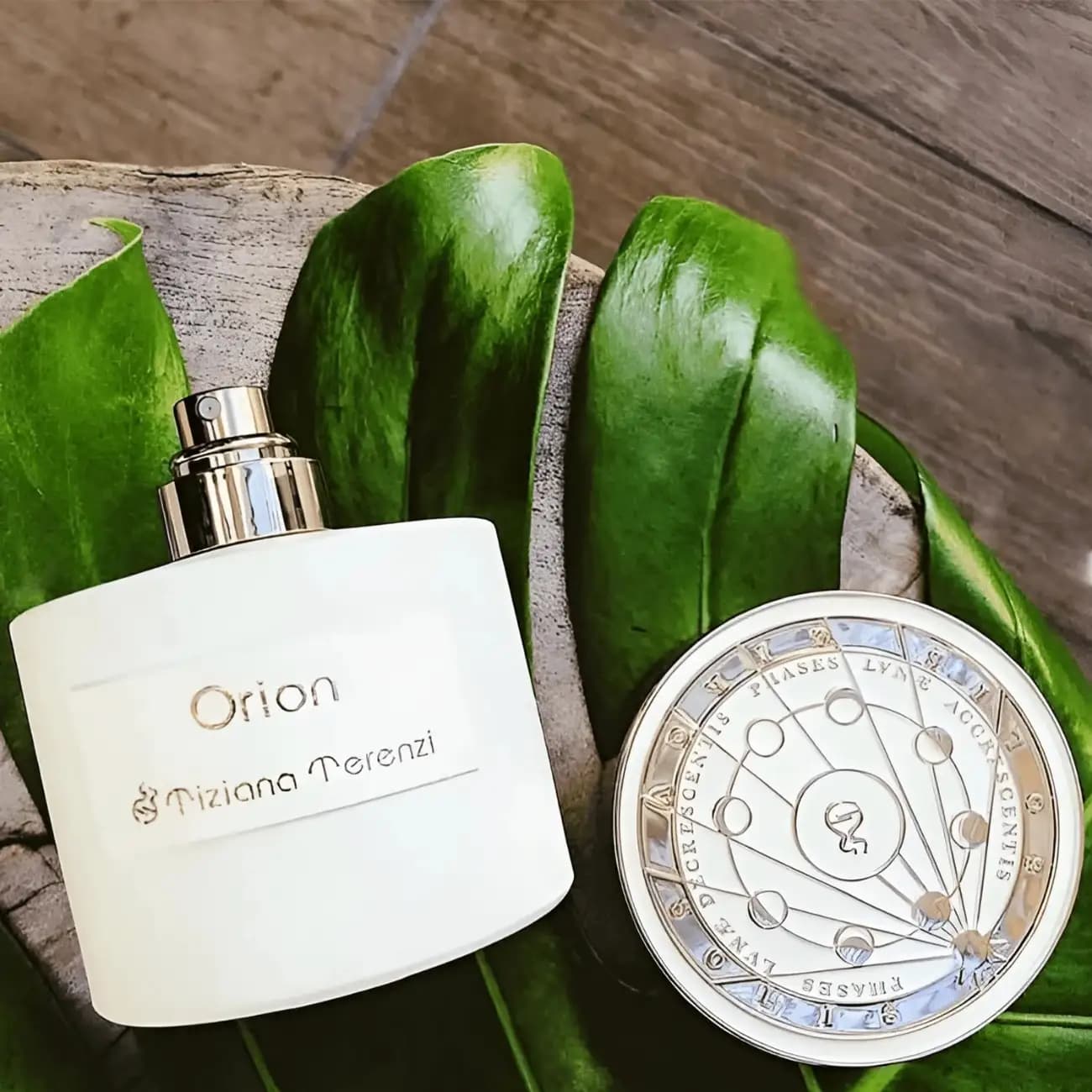 عطر ادکلن تیزیانا ترنزی اوریون اصل — تصویر ۲