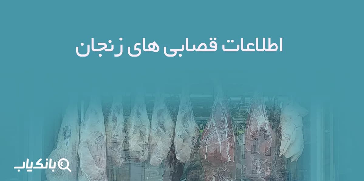 اطلاعات قصابی های زنجان