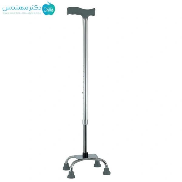 عصا چهارپایه لردی — تصویر ۲
