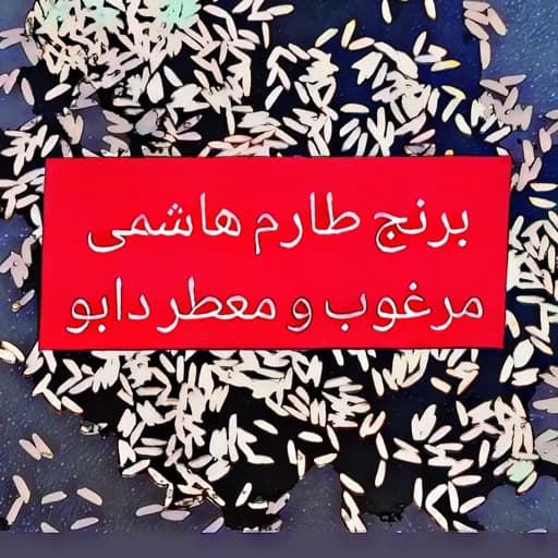 برنج طارم هاشمی سفارشی دابو (10 کیلو،ارسال رایگان)