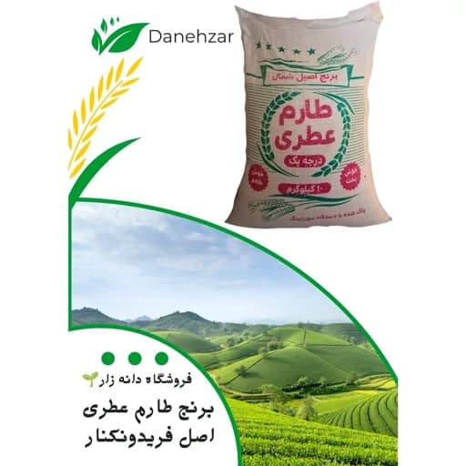 برنج طارم عطری اصل فریدونکنار(دانه زار)