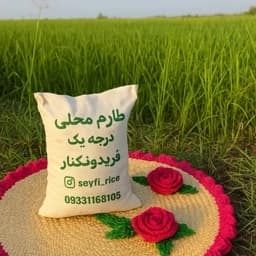 برنج طارم هاشمی فریدونکنار پنج کیلو — تصویر ۲
