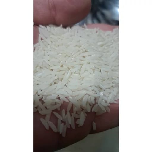 برنج طارم هاشمی خالص اعلا