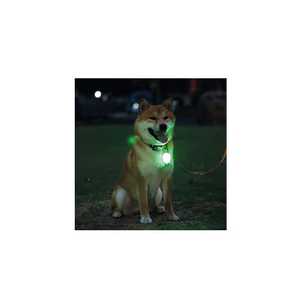 آویز قلاده سگ ام پتس M-pets مدل چراغ دار — تصویر ۲