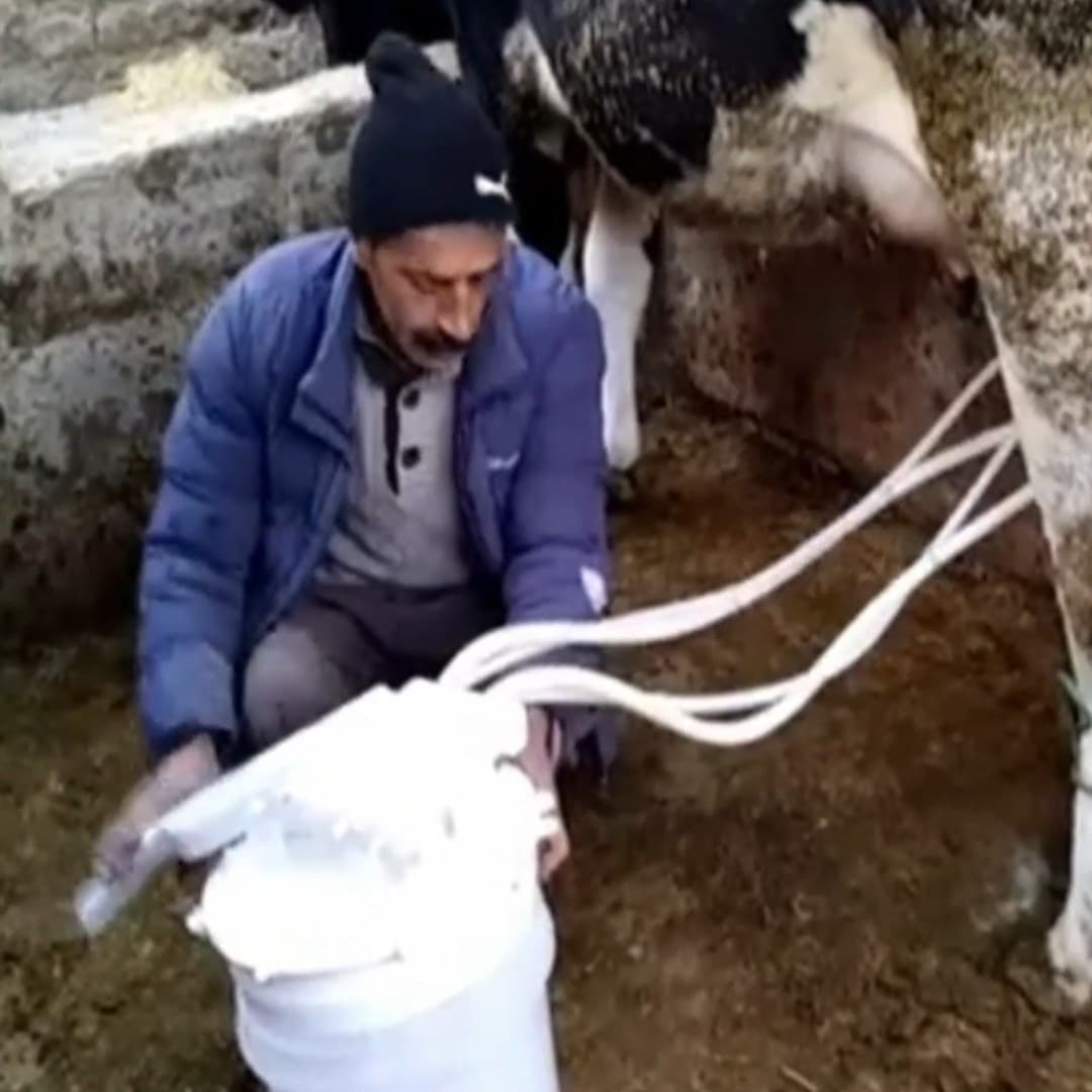 شیردوش دستی گاو بدون نیاز به برق تلمبه ای