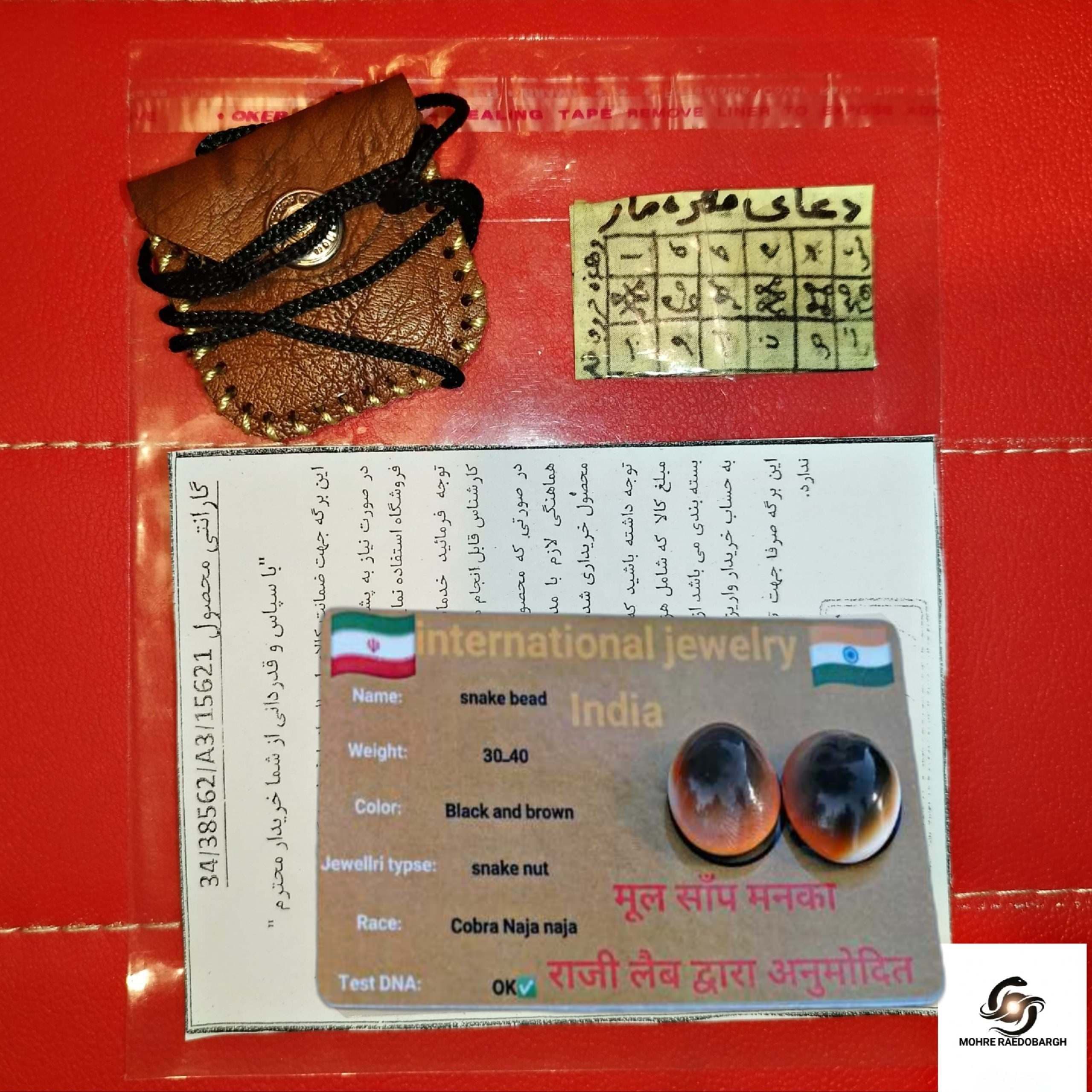 مهره مار شاه کبری اصل | ضمانت 10 ساله و شناسنامه معتبر — تصویر ۵