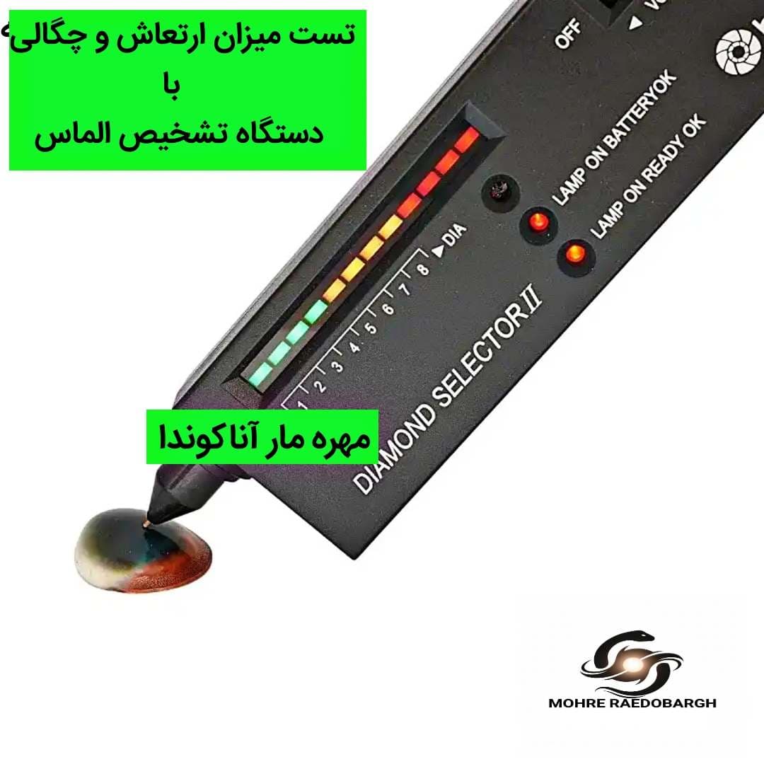 مهره مار آناکوندا اصل | نایاب با ضمانت ۱۰ ساله — تصویر ۳