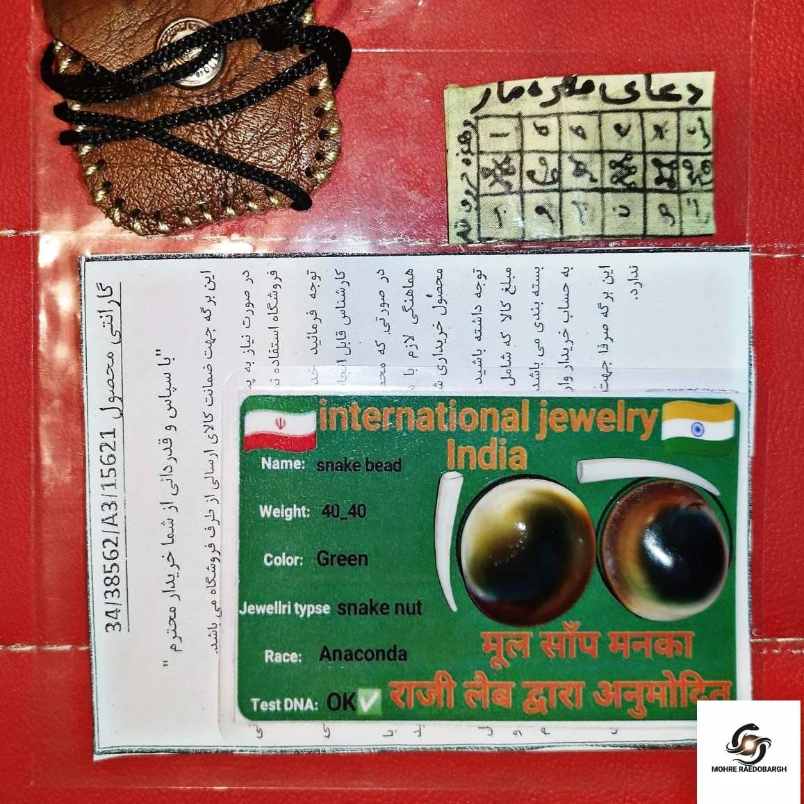 مهره مار آناکوندا اصل | نایاب با ضمانت ۱۰ ساله — تصویر ۲